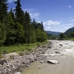 Rezervaţia forestieră Goşman, Rezervaţia faunistică Brateş, Cascada şi Cheile Bolovănişului