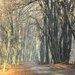 Traseu Hiking in Piatra Neamt – Stanca Trei Caldari