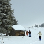 Hiking in Cheile Bicazului – Poiana Ghilgos