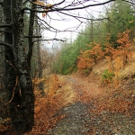 Traseu de Hiking pe Ivanes – zona Bicaz Chei, Damuc