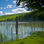 Drumetie in Neamt: Mergand spre Lacul Cuejdel