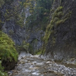 Peisaje de Toamna in Cheile Sugaului