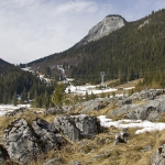 Traseu în Cheile Bicazului: Valea Bicăjelului – Piatra Cherecului