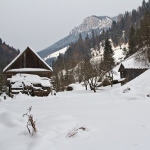 Peisaje de iarnă în zona Bârnadu Cheile Şugăului
