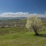 Peisaje de primăvară pe traseul Piatra Neamṭ – Hanu Ancuṭei