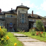 Muzeul de artă” Iulia Hălăucescu” din Tarcău
