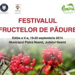 Festivalul Fructelor de Pădure 2014