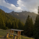 TRASEE TURISTICE ÎN PARCUL NAȚIONAL CEAHLĂU