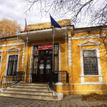 Colecțiile de Artă Roman