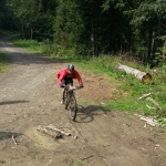 Liber la plimbările cu bicicleta!