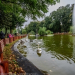 Parcul din Roman