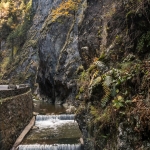 Chile Bicazului – fotograf Claudiu OROS