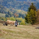 Din lumea satului nemțean