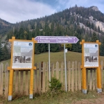 Satele montane, zone pitorești în Neamț