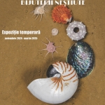 NESTEMATELE MĂRII – BIJUTERII NEȘTIUTE