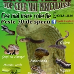 Expoziție temporară “Reptile vii” la Muzeul de Științe Naturale Piatra-Neamț