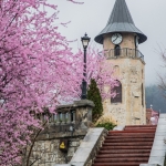 În premieră: Târgul de Florii la Piatra-Neamț, un eveniment pentru comunitate