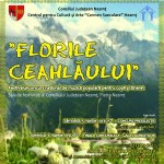 festivalul-florile-ceahlaului-2011