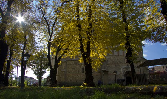 Curtea Domneasca Piatra Neamt