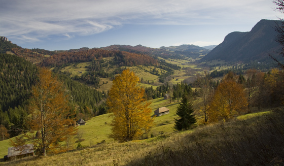 Judetul Neamt - Parcuri Naturale