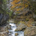 monumente-ale-naturii-neamt