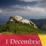 evenimente-1-Decembrie-2011