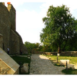 Cetatea_Neamt_14