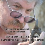 06-expozitie-pesti-fosili-martie-2014
