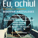 06-expozitie-bogdan-anitulesei-piatra-neamt-aprilie-2014