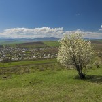 10-traseu-piatra-neamt-hanu-ancutei-primavara-2014