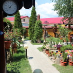 gradina de vara farcasa  (4)