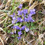 DSCF0848
