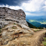 aLLinpopescu.ro_0069