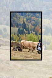 Din lumea satului nemțean