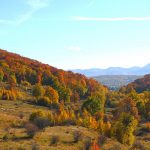 foto credit: Ionela Lungu-comuna Răucești