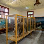 Muzeul Zoologic „Constantin Romanescu”, Județul Neamț