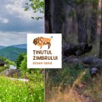 photo credit @Ținutul Zimbrului