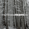 Viziteaza Neamt Banner