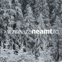 Viziteaza Neamt Banner