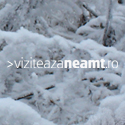 Viziteaza Neamt Banner