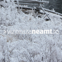 Viziteaza Neamt Banner