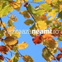 Viziteaza Neamt Banner