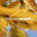 Viziteaza Neamt Banner