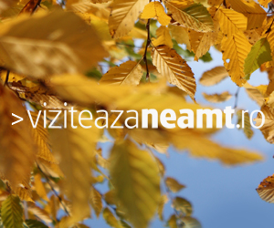 Viziteaza Neamt Banner