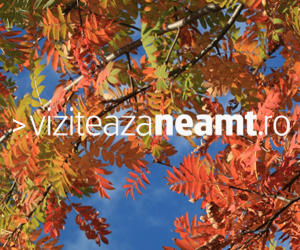 Viziteaza Neamt Banner