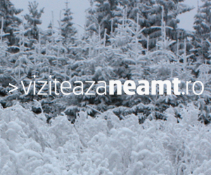 Viziteaza Neamt Banner