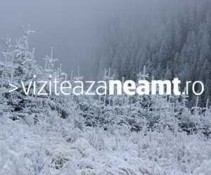 Viziteaza Neamt Banner