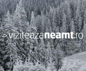 Viziteaza Neamt Banner