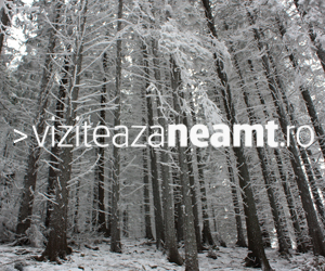 Viziteaza Neamt Banner