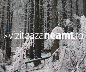 Viziteaza Neamt Banner